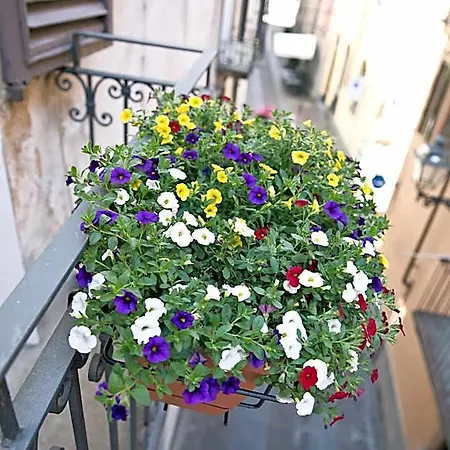Osteria Senza Fretta For Rent 宾馆